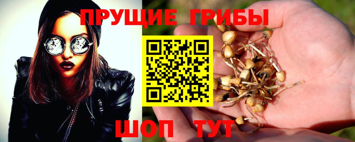 Псилоцибиновые грибы Cubensis  Галлюциногенные грибы Magic Shrooms  Вход с VPN  Алатырь 
