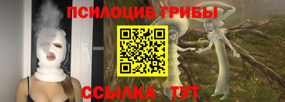 Галлюциногенные грибы Cubensis Алатырь